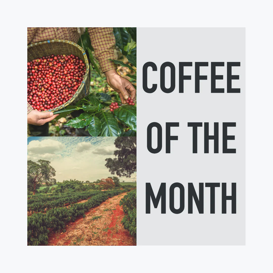 Coffee of The Month